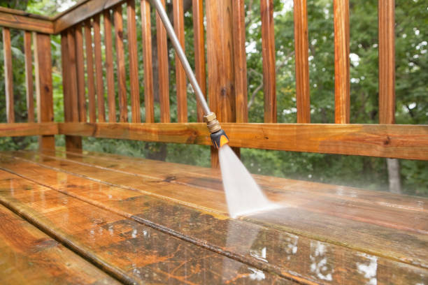 Best Animal Enclosure Cleaning  in Palm City, FL